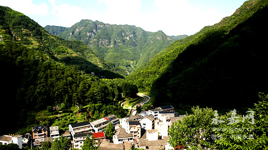 阮山:靠山吃山梦想路