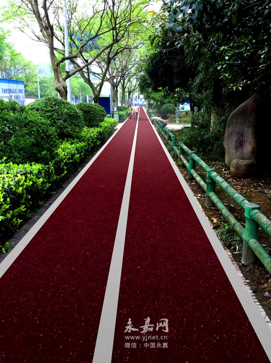 我县创建国家卫生县城之硬件篇