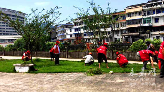 拿起手机“随手拍” 创卫配备“千里眼”