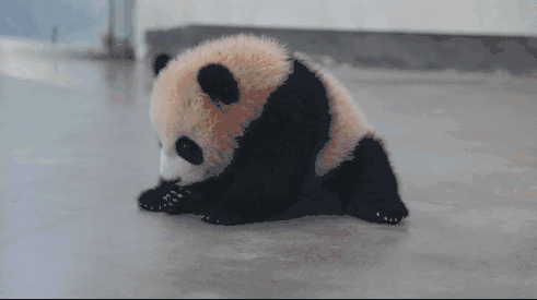 萌翻了!