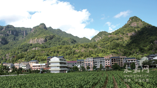 樟树2013年财政总收入_&mdash;&mdash;2017年1月16日在江西省第十二届人民代表大会第七次会议上