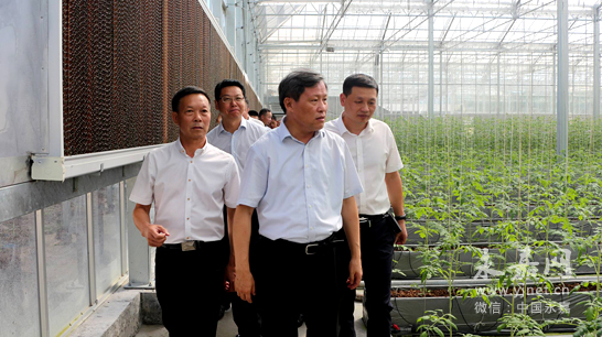 孙景淼:把永嘉现代农业打造成为全省样板