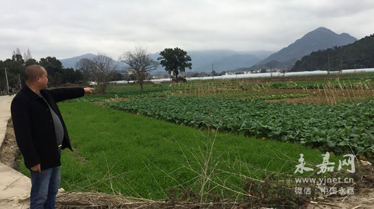 永嘉县枫林镇包岙人口_温州市永嘉县枫林镇包岙村(3)