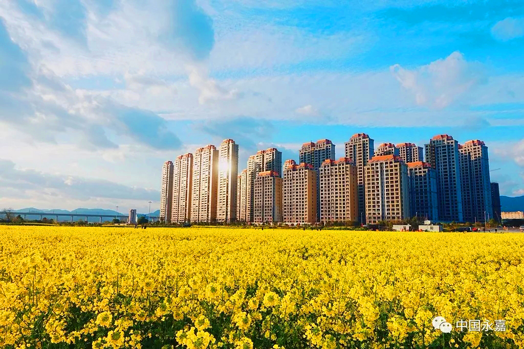 瑞安市经济总量多少亿_瑞安市经济开发区地图
