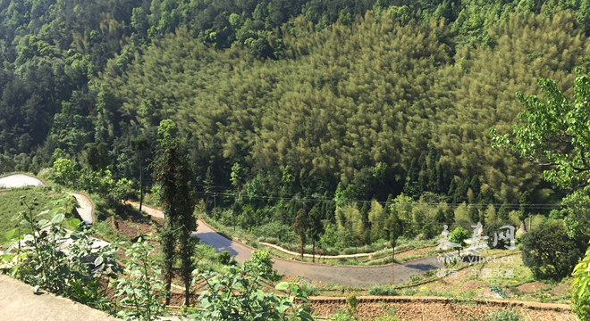 茗岙乡岩山村计划通过发展民宿经济加快实现乡