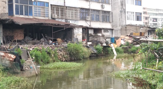 河道沿岸乱搭乱建 家禽养殖污染水质