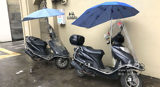 綯װɡ