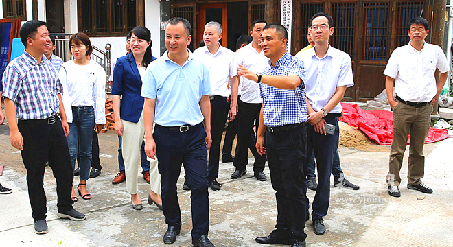 林万乐到岩坦大若岩调研乡村振兴示范带建设
