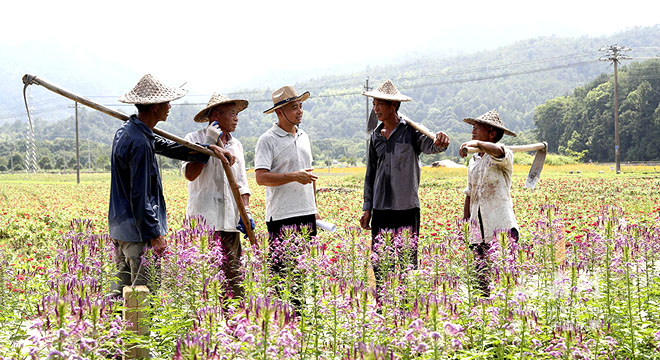 岩坦镇乡村干部以实际行动让乡村振兴之花遍地