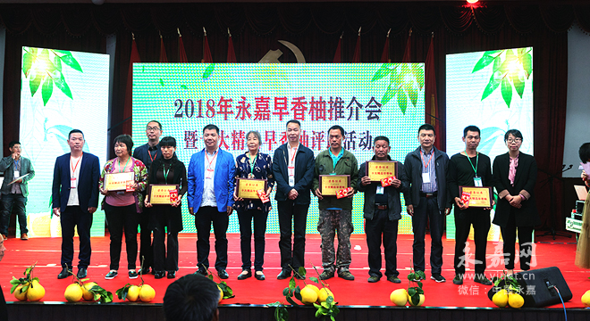 永嘉早香柚推介会暨十大精品早香柚评比活动在