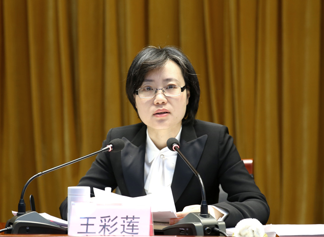 王彩莲:聚焦重点强化防范 创新治理筑牢根基