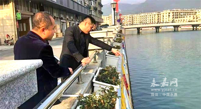 永嘉县桥下镇总人口数_人口学校 桥下镇 浙江省 温州市 永嘉县 桥下镇综合信
