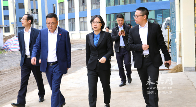 王彩莲到桥下镇开展专题调研