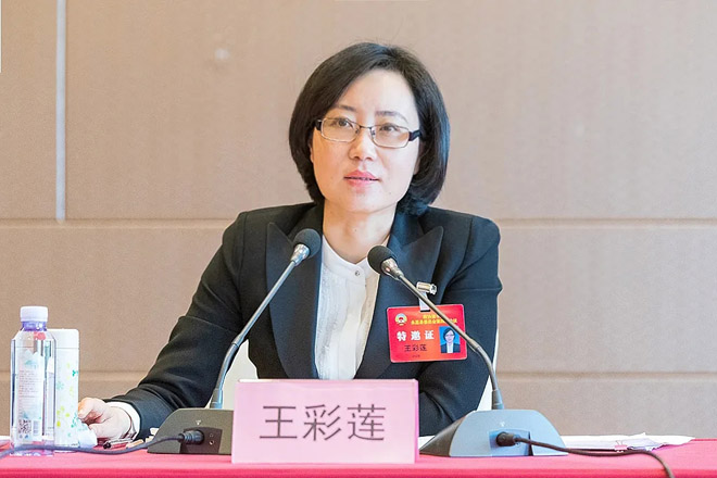 县委书记王彩莲参加政协科协科技组分组讨论