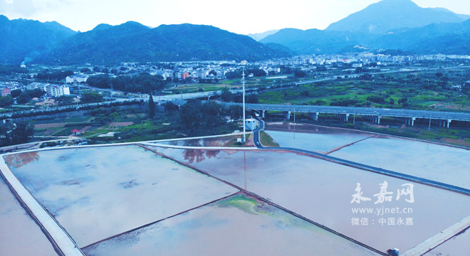 岩头镇GDP_gdp精雕无事牌头图片