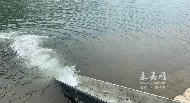 放流鱼苗二年后 00300727490_15168636.jpg