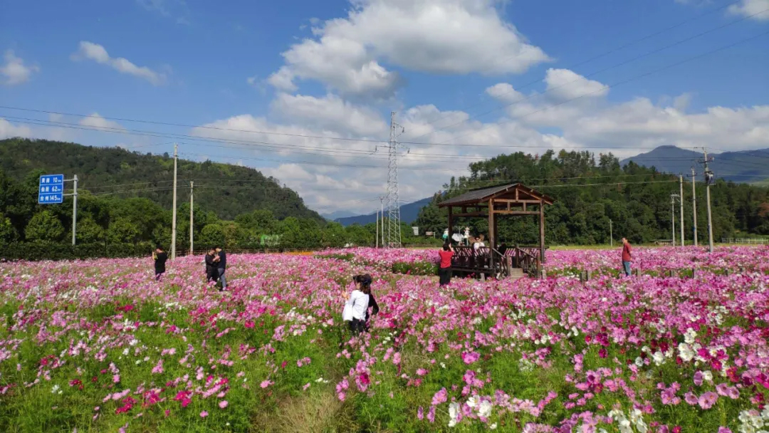 2020�����й��ڡ�����