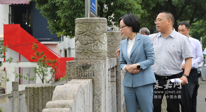 永嘉县委书记王彩莲到瓯北岩坦督查防汛与五水共治河长制工作