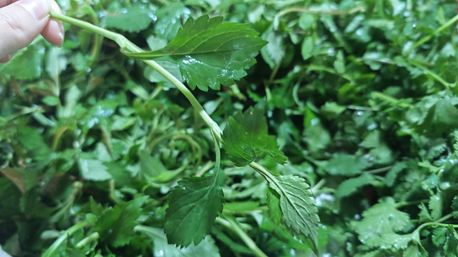 00300988595_e93b1128.jpg