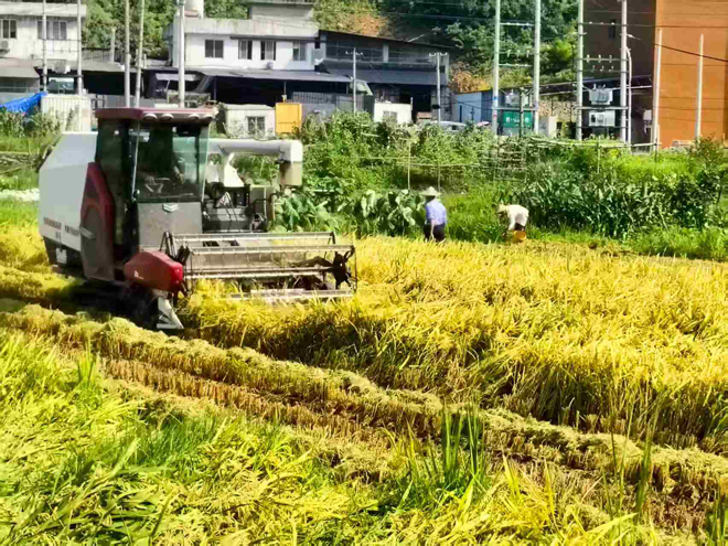 ȫ8000Ķ絾½