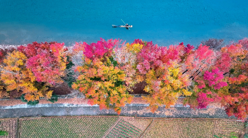 ��������Ȼ��Դ�͹滮�֣��滮���̸ܹ��� �����������¾�