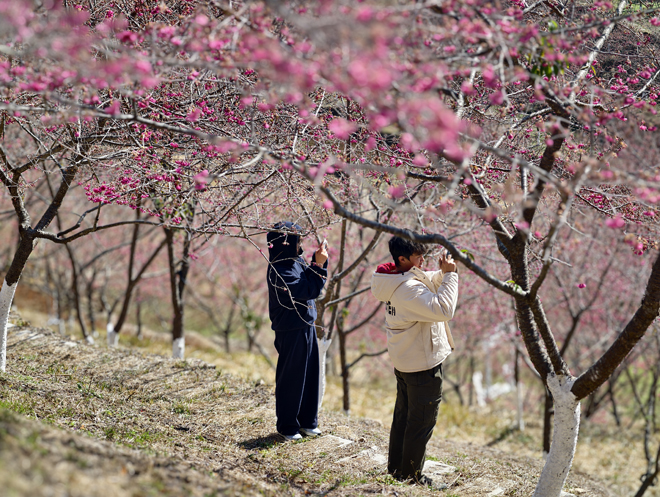 ���ش��ڼ��������г��������� ��ɫ����ʢ�羲���ο�ǰ��