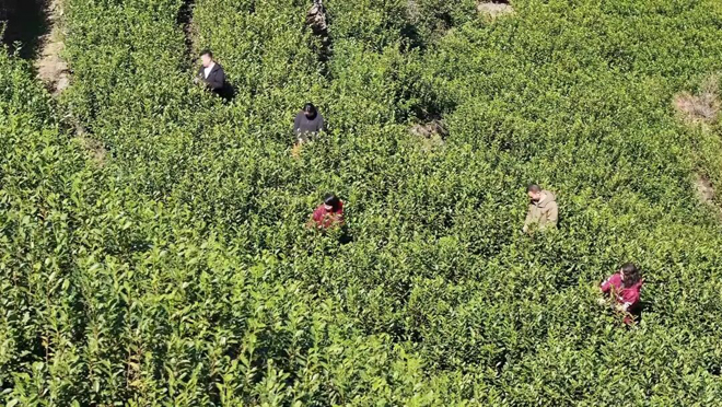 ��������㣡 ���㽭��һ�硱��ţ��迪ժ