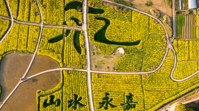 ����ɽ��԰�Ͳ˻���������ѹ�����