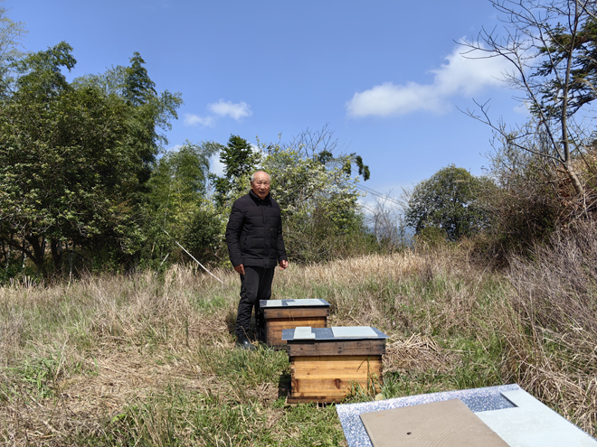 ��ɽ��ľ�۷��� ��Ѯ��ũ����·